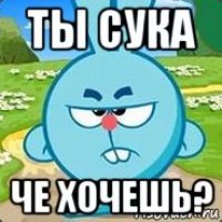 ты сука че хочешь?