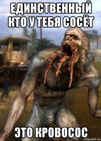 единственный кто у тебя сосёт это кровосос