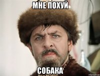 мне похуй собака