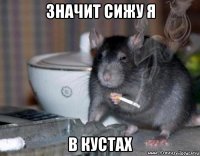 значит сижу я в кустах