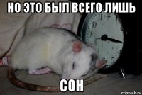 но это был всего лишь сон