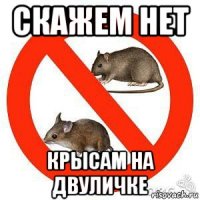 скажем нет крысам на двуличке