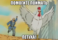 помогите поймать петуха!