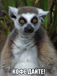  кофе дайте!