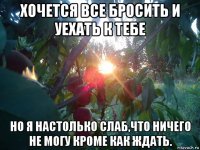 хочется все бросить и уехать к тебе но я настолько слаб,что ничего не могу кроме как ждать.