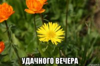  удачного вечера