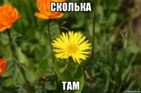 сколька там