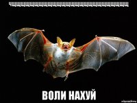 чщщщщщщщщщщщщщщщщщщщщщщщщщщ воли нахуй
