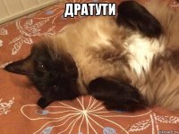 дратути 
