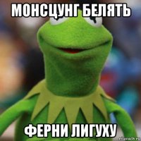 монсцунг белять ферни лигуху