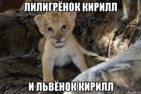 лилигрёнок кирилл и львёнок кирилл