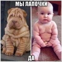 мы лапочки да
