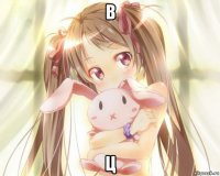 в ц