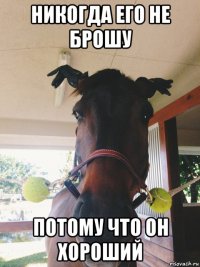 никогда его не брошу потому что он хороший