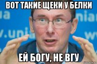 вот такие щеки у белки ей богу, не вгу