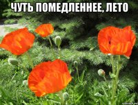 чуть помедленнее, лето 