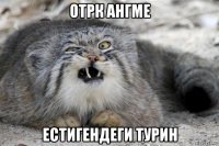 отрк ангме естигендеги турин