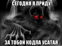 сегодня я приду за тобой кодла усатая