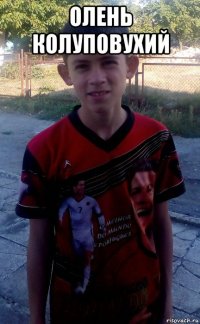олень колуповухий 