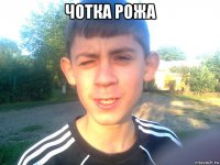 чотка рожа 