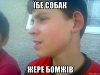 їбе собак жере бомжів