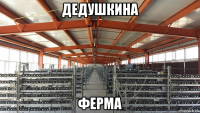 дедушкина ферма