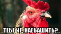  тебе че, наебашить?