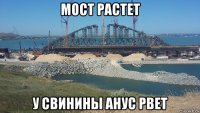 мост растет у свинины анус рвет