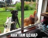  как там цска?