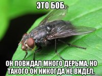 это боб. он повидал много дерьма, но такого он никогда не видел.