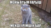 менің атым Ғарыш менде ірімшік бар