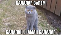балалар сәлем балапан ,жаман балалар