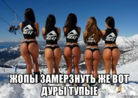  жопы замерзнуть же вот дуры тупые