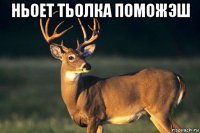 ньоет тьолка поможэш 