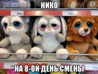 нико на 8-ой день смены