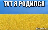 тут я родился 
