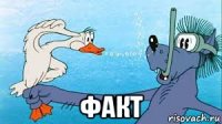  факт