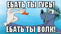 ебать ты гусь! ебать ты волк!