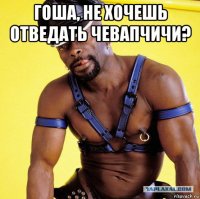 гоша, не хочешь отведать чевапчичи? 
