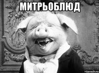 митрьоблюд 