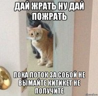 дай жрать ну дай пожрать пока лоток за собой не вымайте китикет не получите