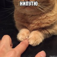 нипутю 