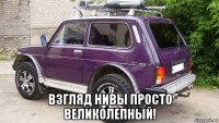  взгляд нивы просто великолепный!