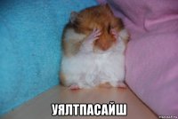  уялтпасайш