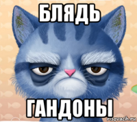 блядь гандоны