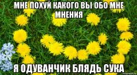 мне похуй какого вы обо мне мнения я одуванчик блядь сука