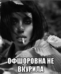  офшоровна не вкурила