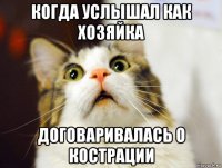 когда услышал как хозяйка договаривалась о кострации