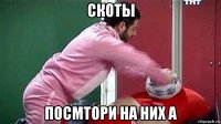 скоты посмтори на них а