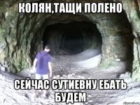 колян,тащи полено сейчас сутиевну ебать будем